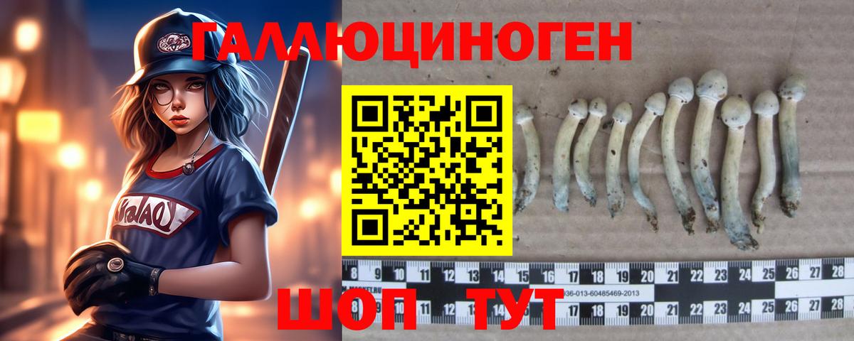 Псилоцибиновые грибы GOLDEN TEACHER  Вход с VPN  Березники 